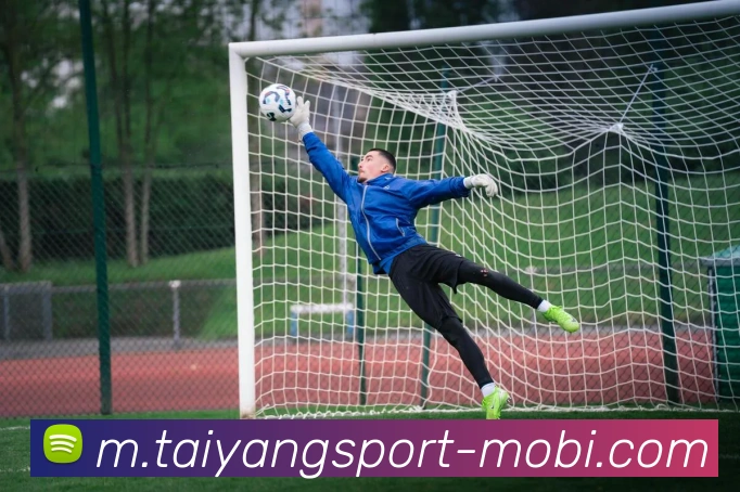 太阳城平台生态图