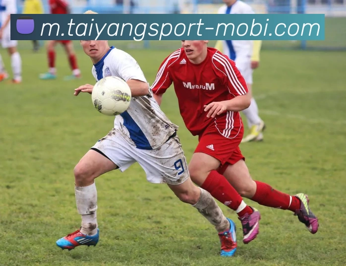 太阳城APP 封面图